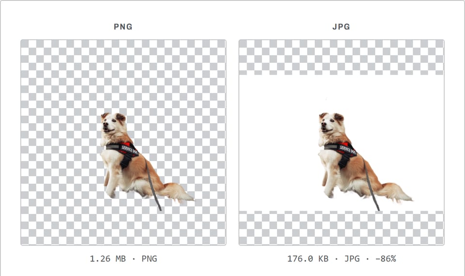 PNG to JPG converter showing a cut-out photo of a dog: the transparent PNG is 1.26 MB, and the JPG is 176.0 KB with the transparent area filled white.